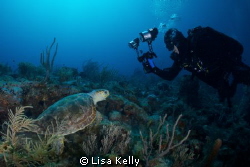 Face off between a photographer and a turtle. by Lisa Kelly 